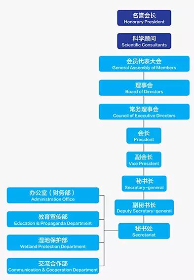 协会的组织架构